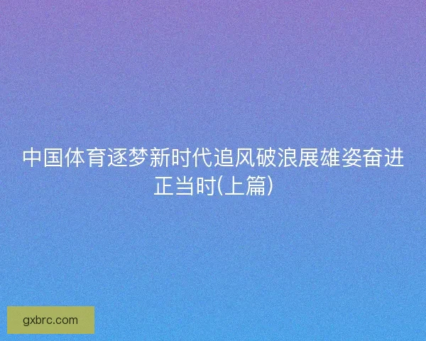中国体育逐梦新时代追风破浪展雄姿奋进正当时(上篇)